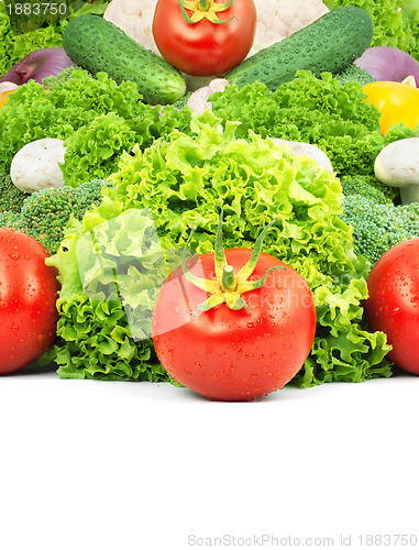 Image of Assorted fresh vegetables