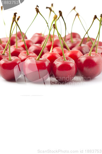 Image of Red cherries