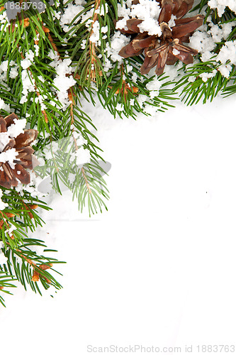 Image of Christmas framework with snow and cones