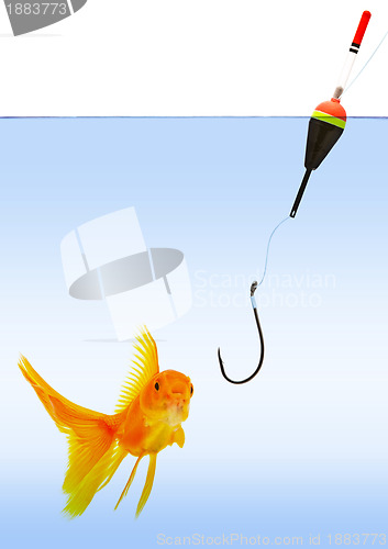 Image of Fishing