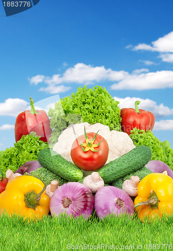 Image of Assorted fresh vegetables