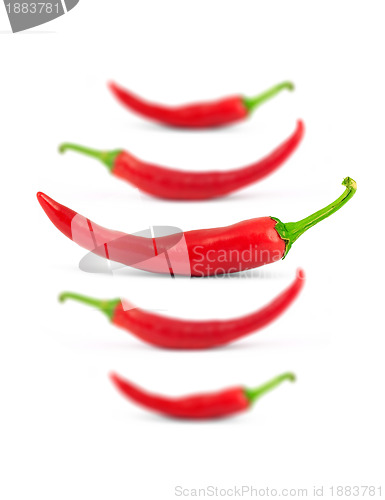Image of Red peppers