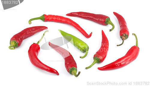 Image of Peppers