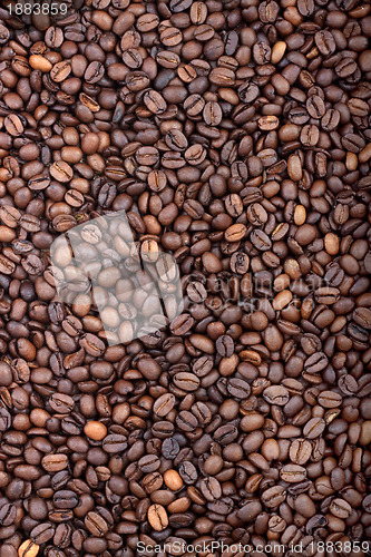 Image of Background of coffee bean

