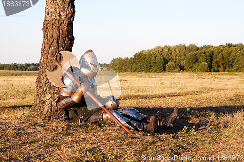 Image of Medieval knight