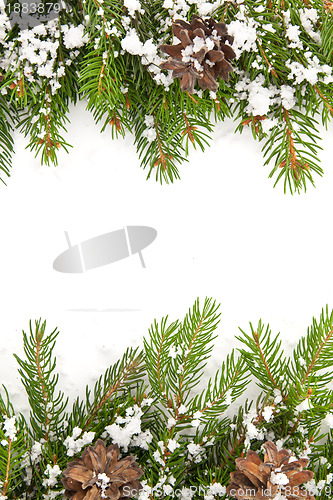 Image of Christmas framework with snow and cones