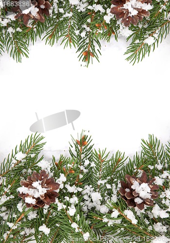 Image of Christmas framework with snow and cones