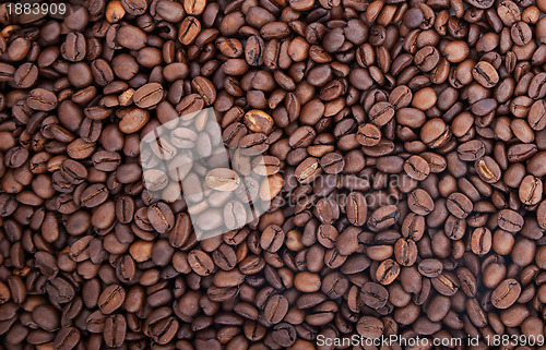 Image of Brown roasted coffee beans