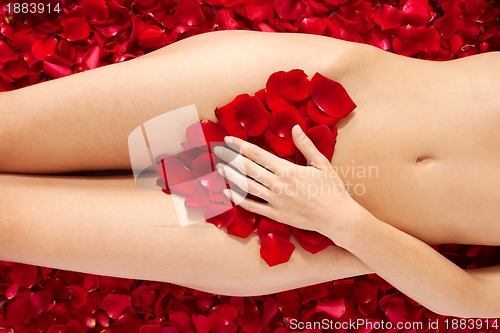 Image of Beautiful body of woman against petals of red roses