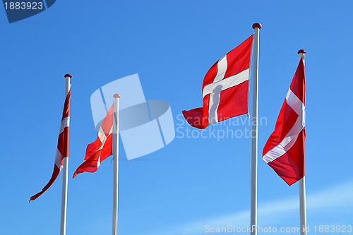 Image of  Danish flag, Dannebrog