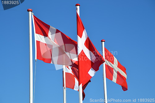 Image of  Danish flag, Dannebrog