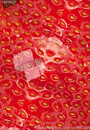 Image of Detailed surface of strawberry