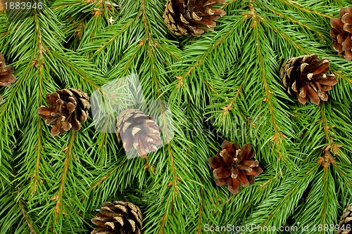 Image of Christmas background. Eve framework