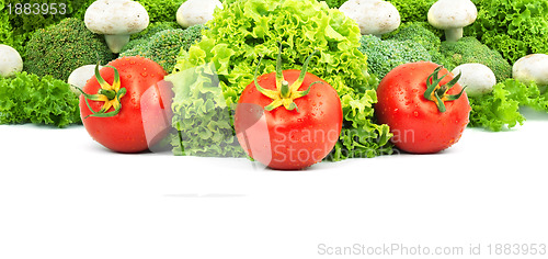 Image of Assorted fresh vegetables