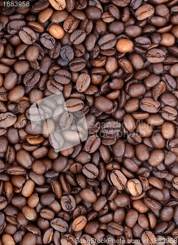 Image of Background of coffee bean
