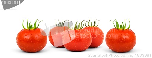 Image of Tomatos