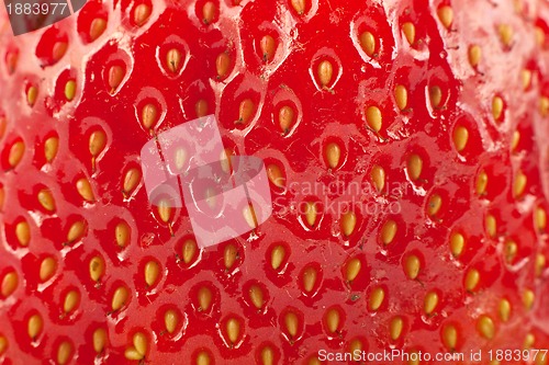 Image of Detailed surface of strawberry