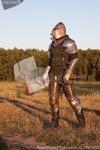 Image of Medieval knight