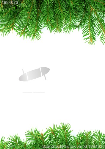 Image of Christmas green framework