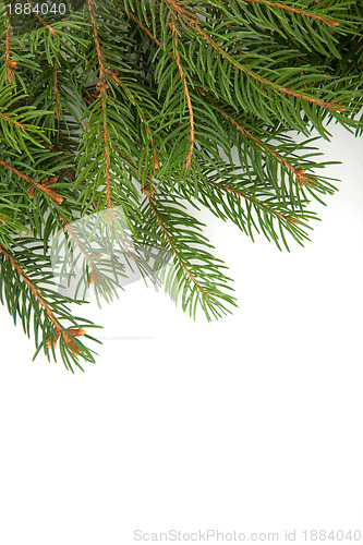 Image of Christmas framework