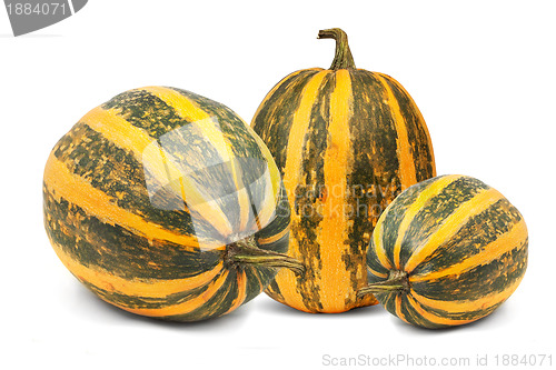 Image of Pumpkin