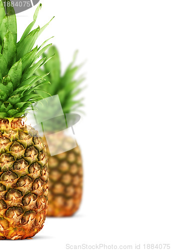 Image of Ripe pineapple