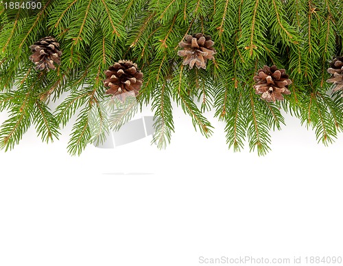 Image of Christmas framework
