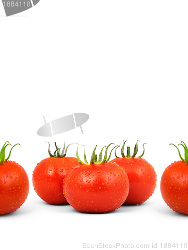 Image of Tomatos