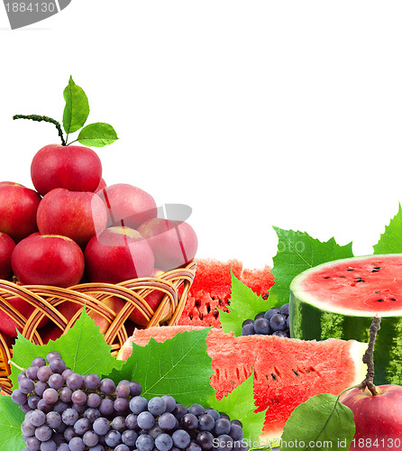 Image of Fresh fruits and vegetables