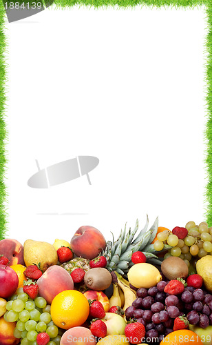 Image of Fresh fruit