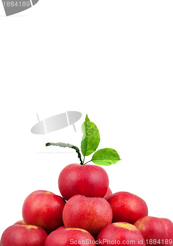 Image of Apple