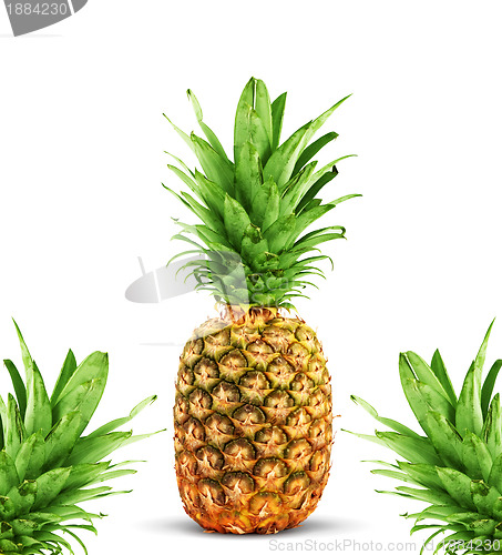 Image of Ripe pineapple