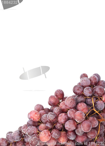 Image of Grape
