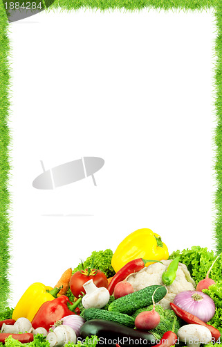 Image of Assorted fresh vegetables