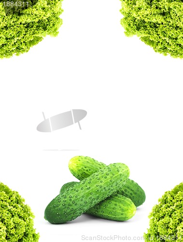 Image of Cucumbers