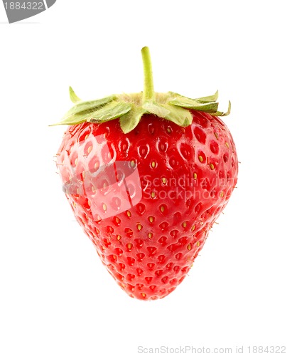 Image of Strawberrie 