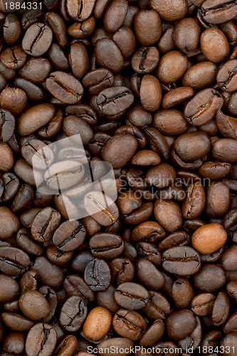 Image of Background of coffee bean
