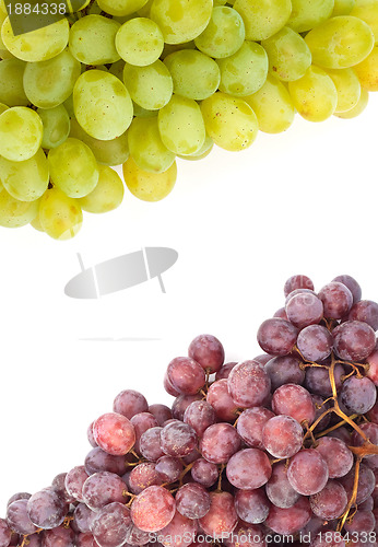 Image of Grape