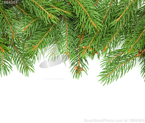 Image of Christmas framework