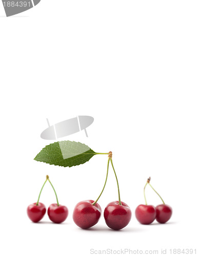 Image of Red cherries