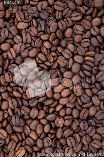 Image of Background of coffee bean
