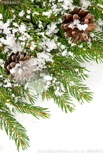 Image of Christmas framework with snow and cones
