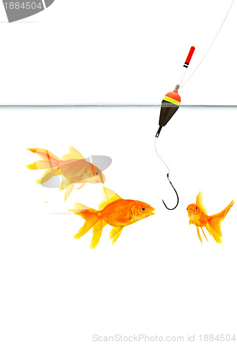 Image of Fishing