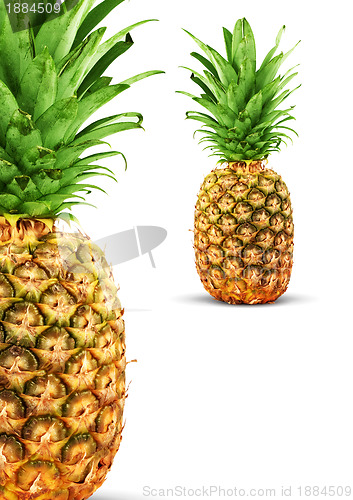 Image of Ripe pineapple
