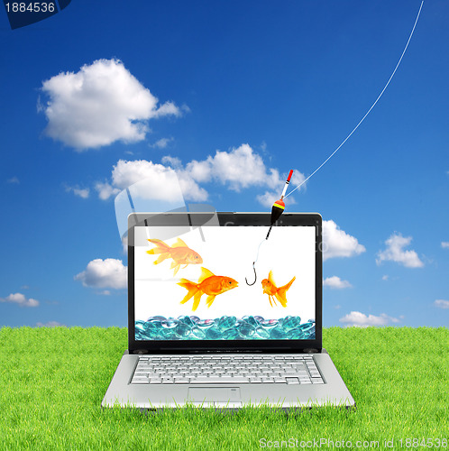 Image of Goldfish in a laptop