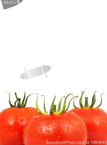 Image of Tomatos
