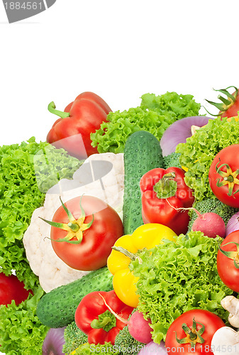 Image of Assorted fresh vegetables
