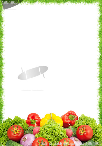 Image of Assorted fresh vegetables