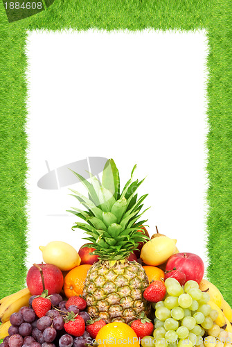 Image of Fresh fruit