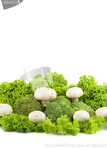 Image of Champignon on a lettuce